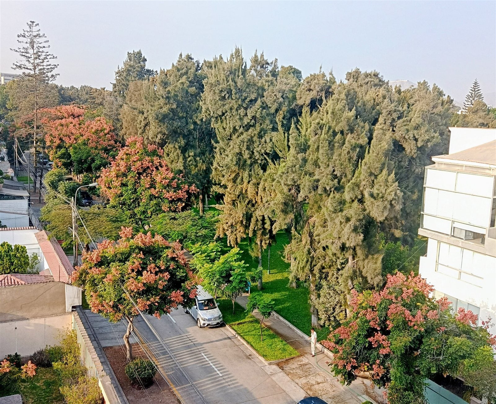 Vista hacia el parque Venecia Pradera