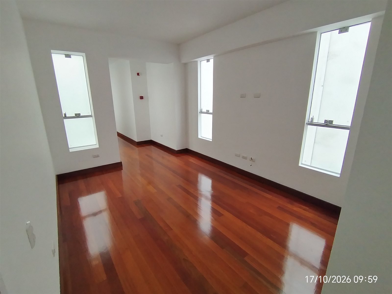 Distribución interior